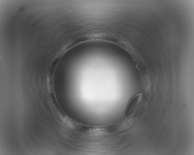 X0000054460378200508121943