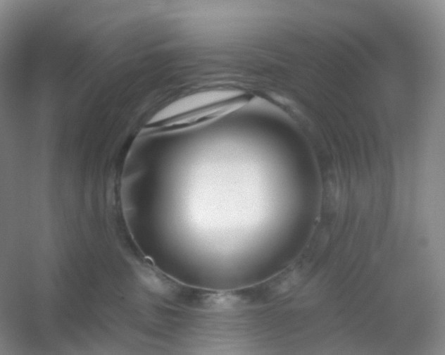 X0000054460379200508121943