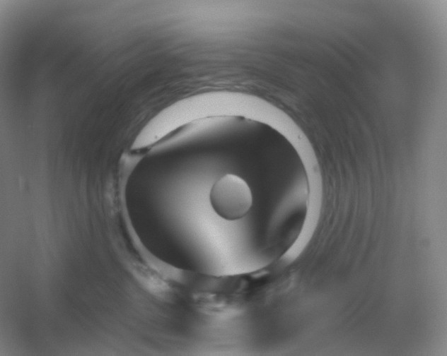 X0000054460380200508121944