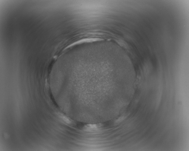 X0000054460381200508121944