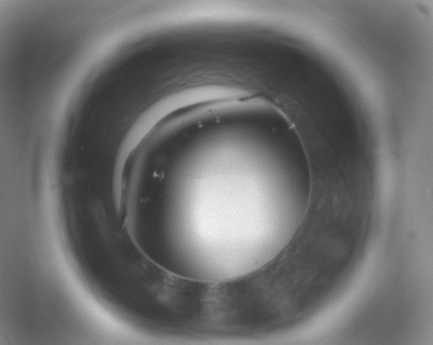 X0000054460382200508121944