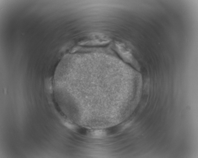 X0000054460383200508121944