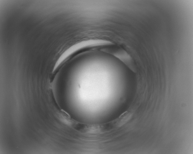 X0000054460384200508121944