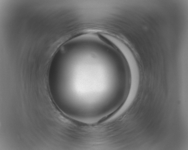 X0000054460385200508121943