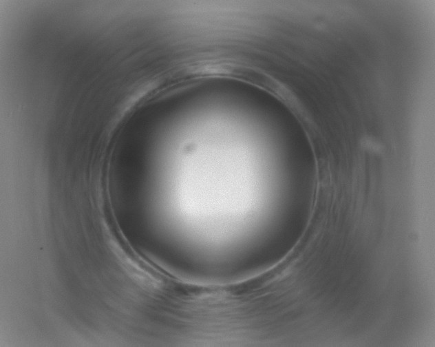 X0000054460386200508121943