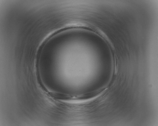 X0000054460387200508121943