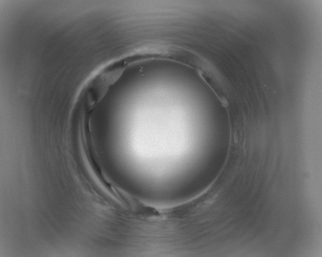 X0000054460388200508121943