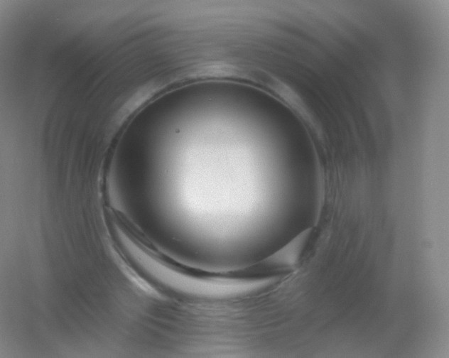 X0000054460389200508121943