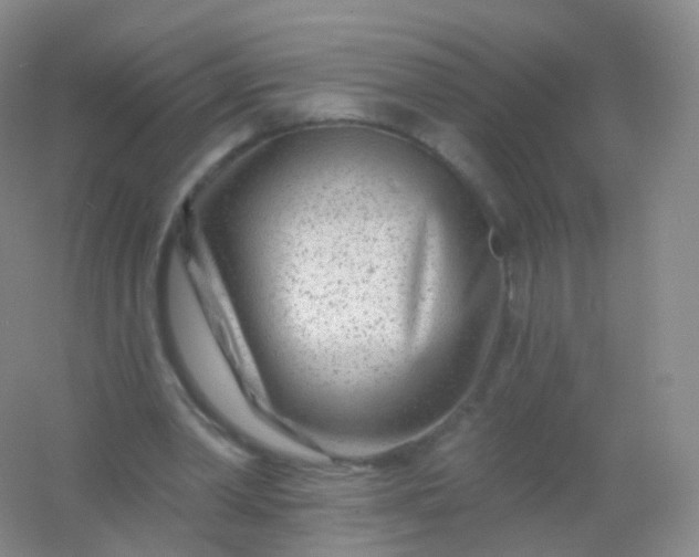 X0000054460390200508121943