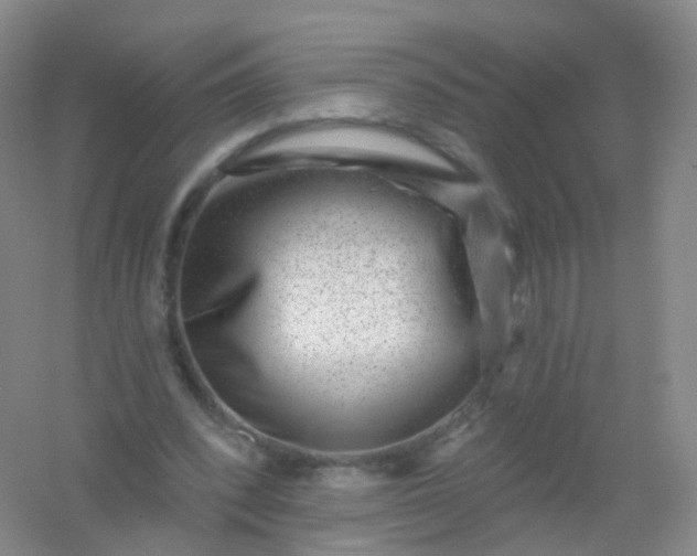 X0000054460392200508121943