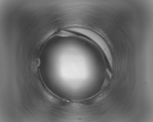 X0000054460393200508121943