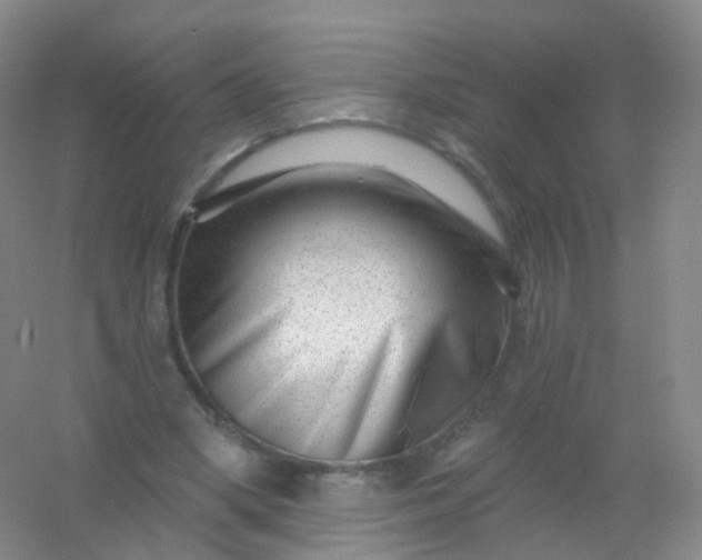 X0000054460394200508121943