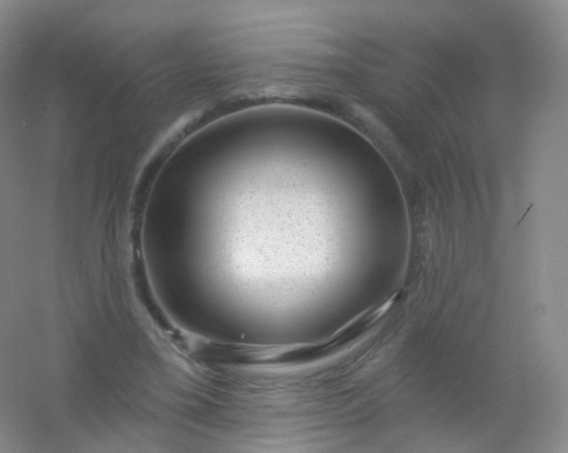 X0000054460395200508121943