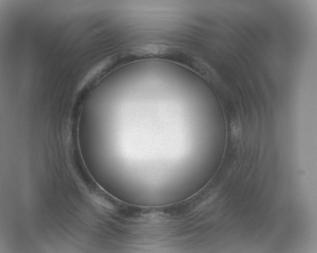 X0000054460396200508121943