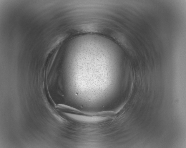 X0000054460398200508121943