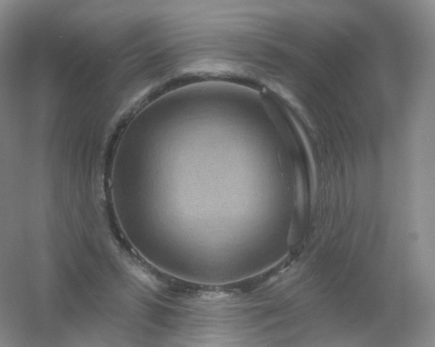 X0000054460399200508121943