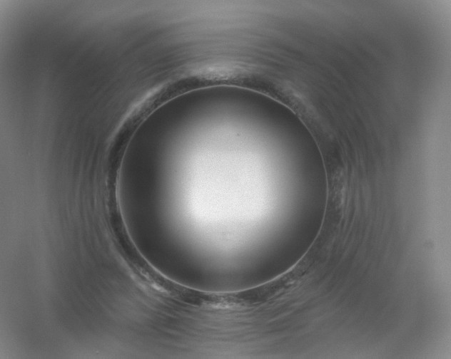 X0000054460400200508121943