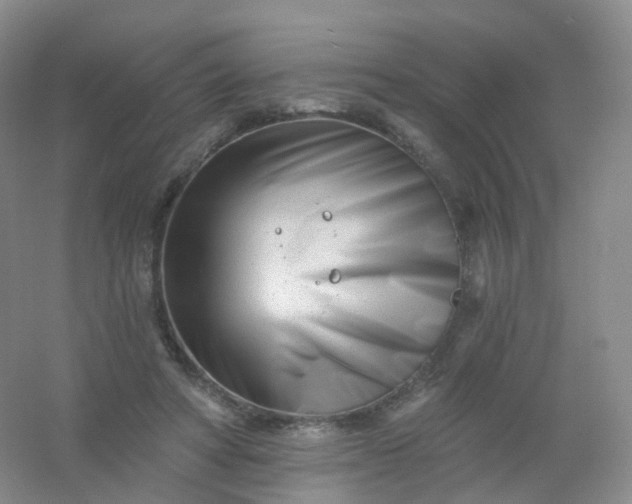 X0000054460402200508121942