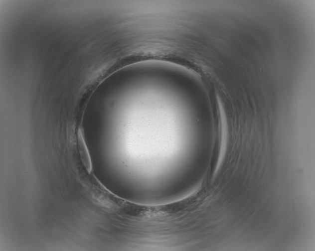 X0000054460403200508121942