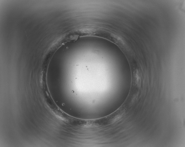 X0000054460404200508121942