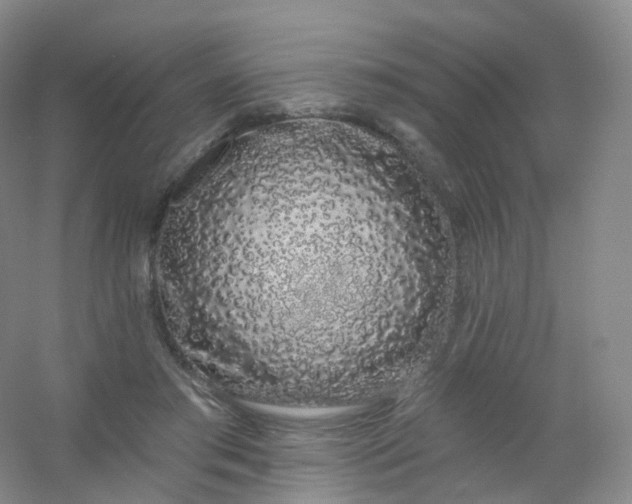 X0000054460405200508121942