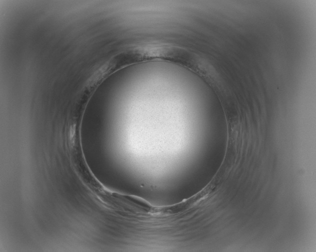 X0000054460406200508121942