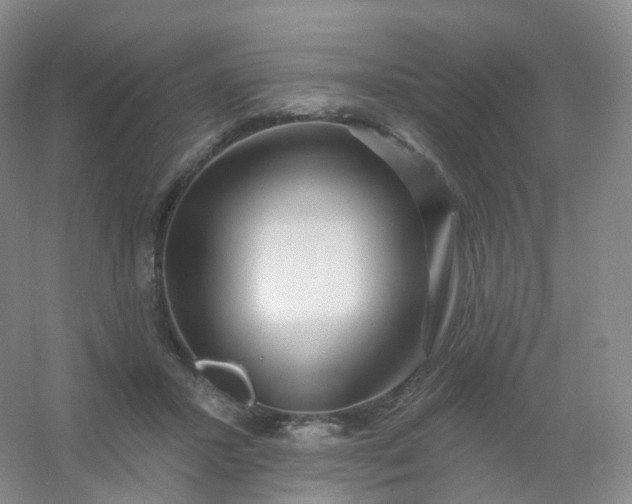 X0000054460407200508121942