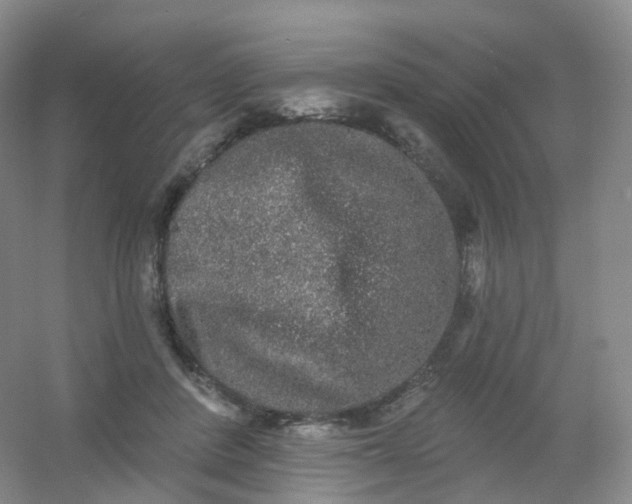 X0000054460408200508121942