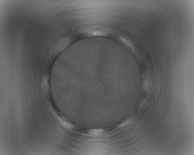 X0000054460410200508121942