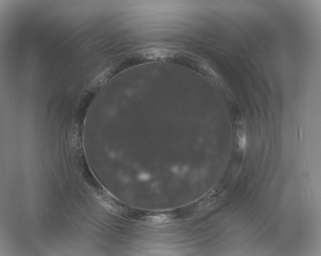 X0000054460411200508121942