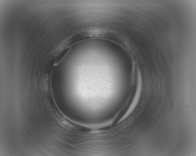 X0000054460413200508121942