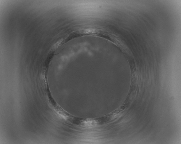 X0000054460415200508121942