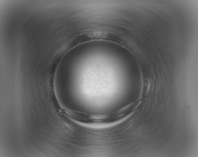 X0000054460416200508121942