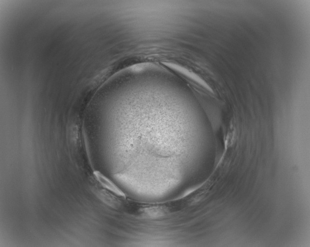 X0000054460417200508121942