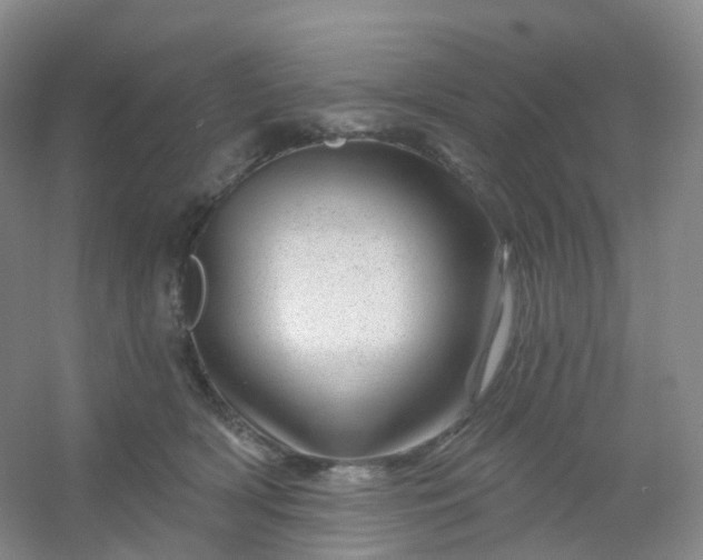 X0000054460418200508121942