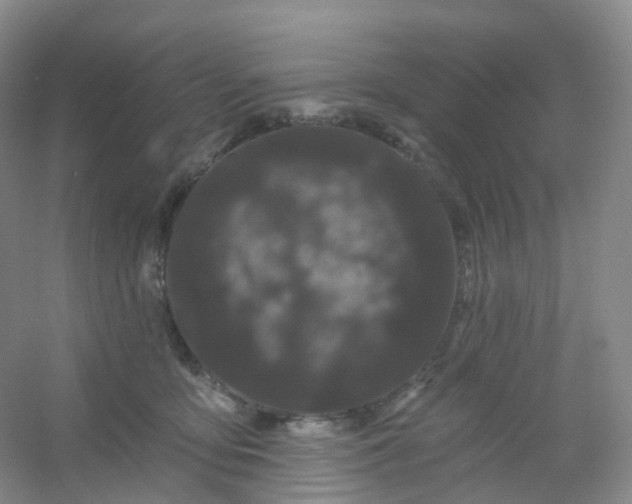 X0000054460419200508121942