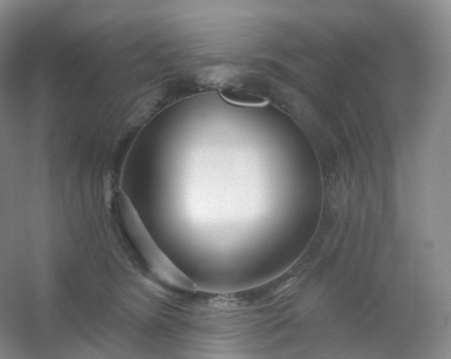 X0000054460420200508121942