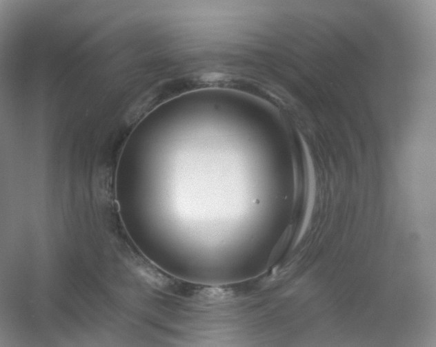 X0000054460421200508121942