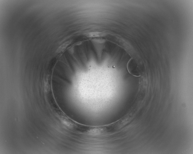 X0000054460422200508121942