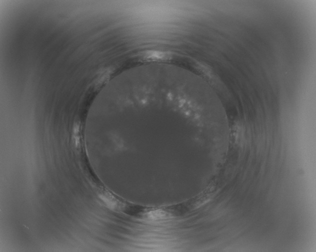 X0000054460423200508121942