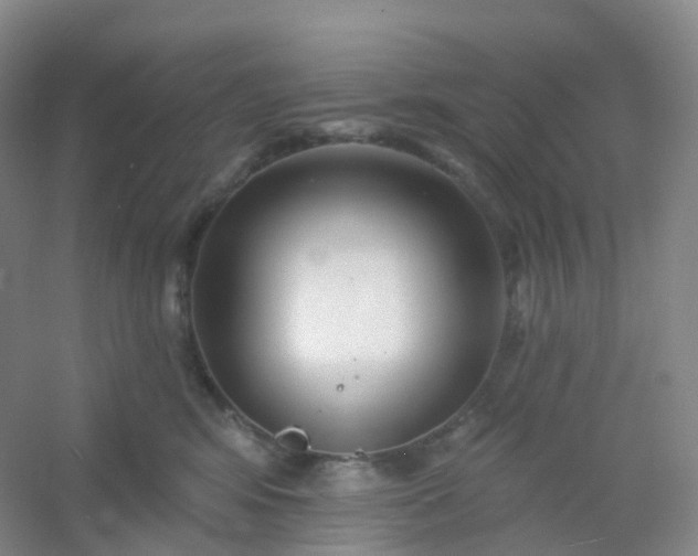 X0000054460424200508121942