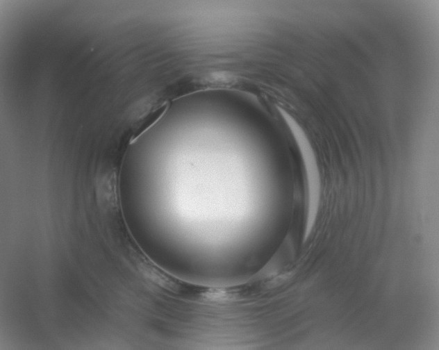 X0000054460425200508121942