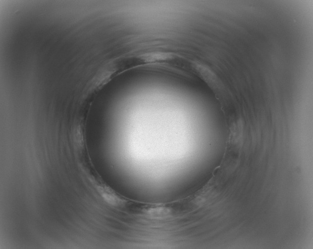 X0000054460426200508121942