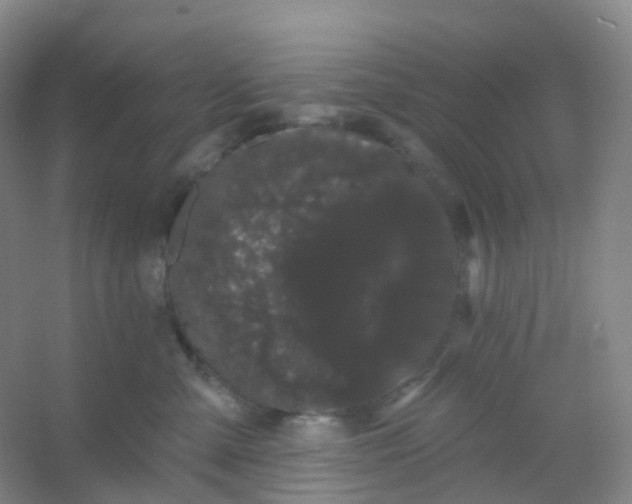 X0000054460427200508121942