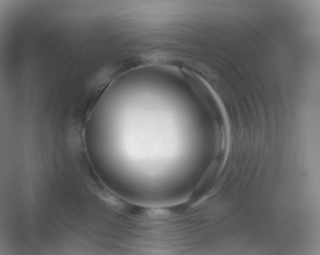 X0000054460429200508121942