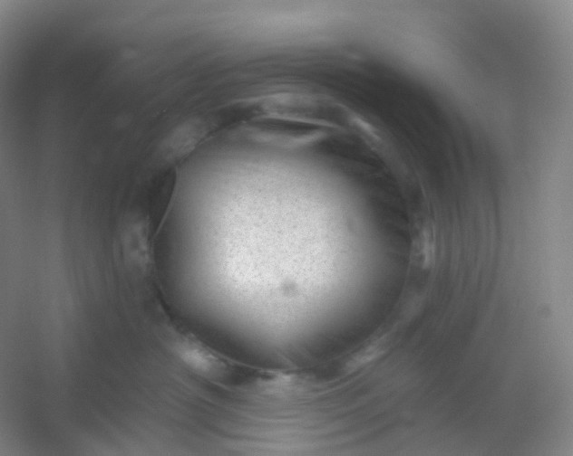 X0000054460430200508121942