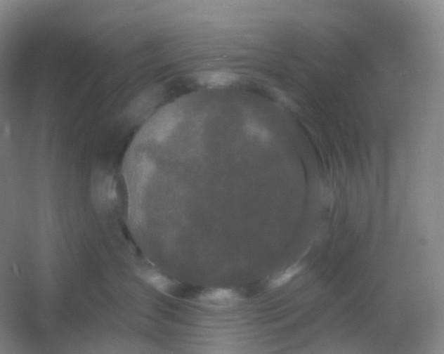 X0000054460431200508121942