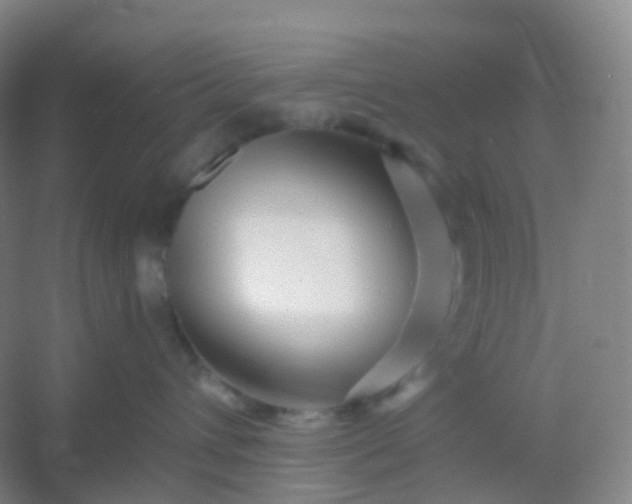 X0000054460432200508121942