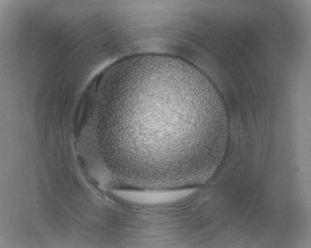 X0000054460434200508121941