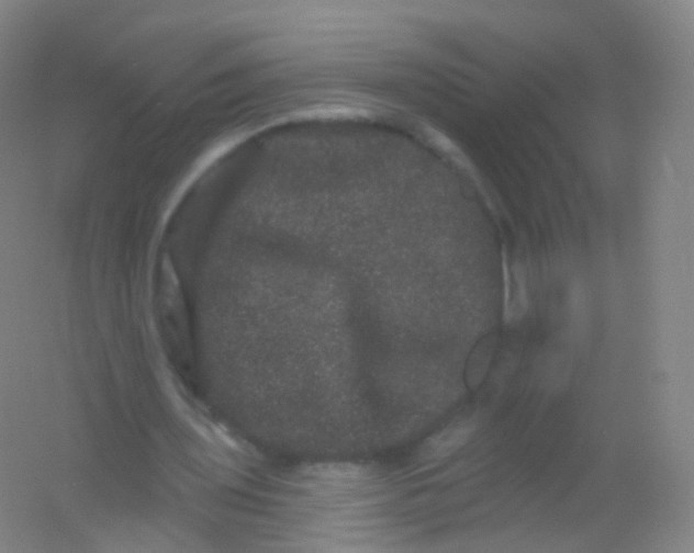 X0000054460435200508121941